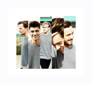 Siete Delle Vere Directioner?
