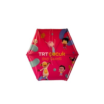 Hangi TRT Çocuk karakterisin