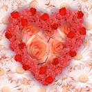 Love Or Arrainge Marrige 