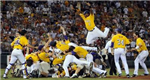 Are You True To Lsu?