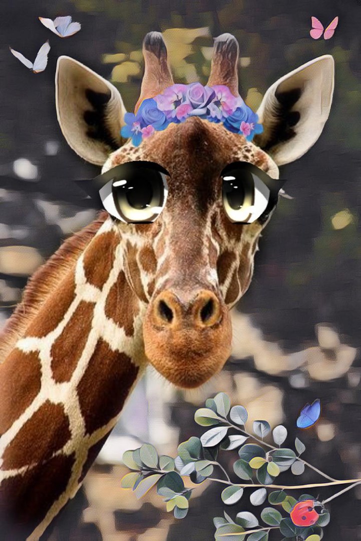 Che animale sei = 3