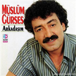 Hangi Tarz Müzik Sana Daha Uygun?