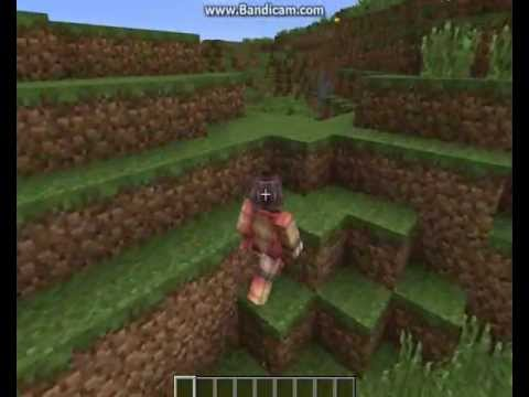 Hangi Minecraft Adamısın ?