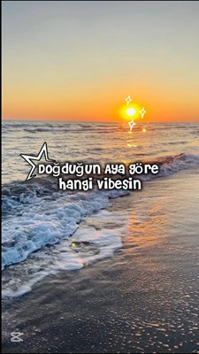 HANGİ VIBESİN