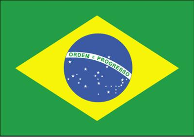 Fifa Cup
