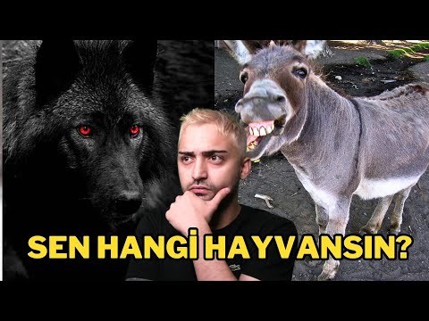 Hangi hayvansın