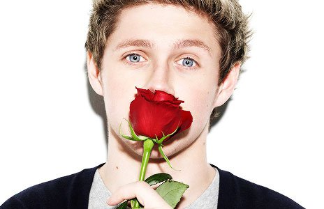 Quien De 1D Sería Tu Novio