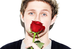 Quien De 1D Sería Tu Novio