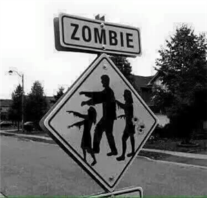 ¿Sobrevivirías A Los Zombies?