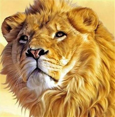 M.Awais Haider