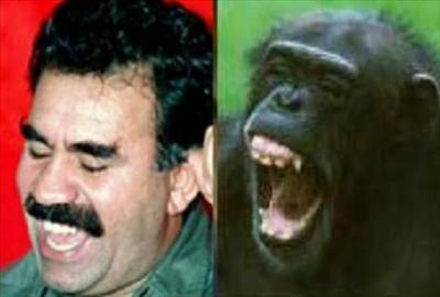 Beni Tanıyor Musun? 