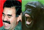 Beni Tanıyor Musun? 