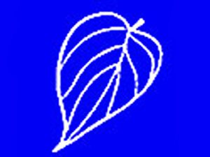 2010 General Election