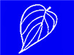 2010 General Election