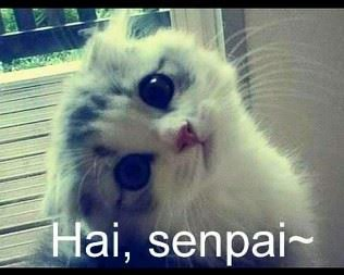 Ngeeng~