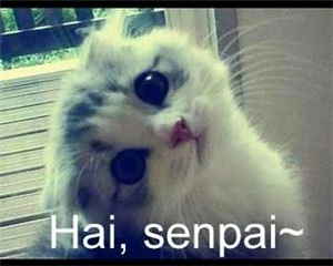 Ngeeng~