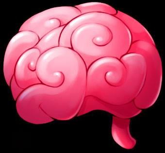 Bigbrain