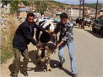 Derslere Ne Kadar Alakalısın..