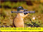 Nasıl Birisin?