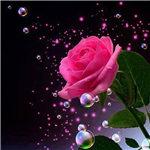 Special Gift For Special Friend