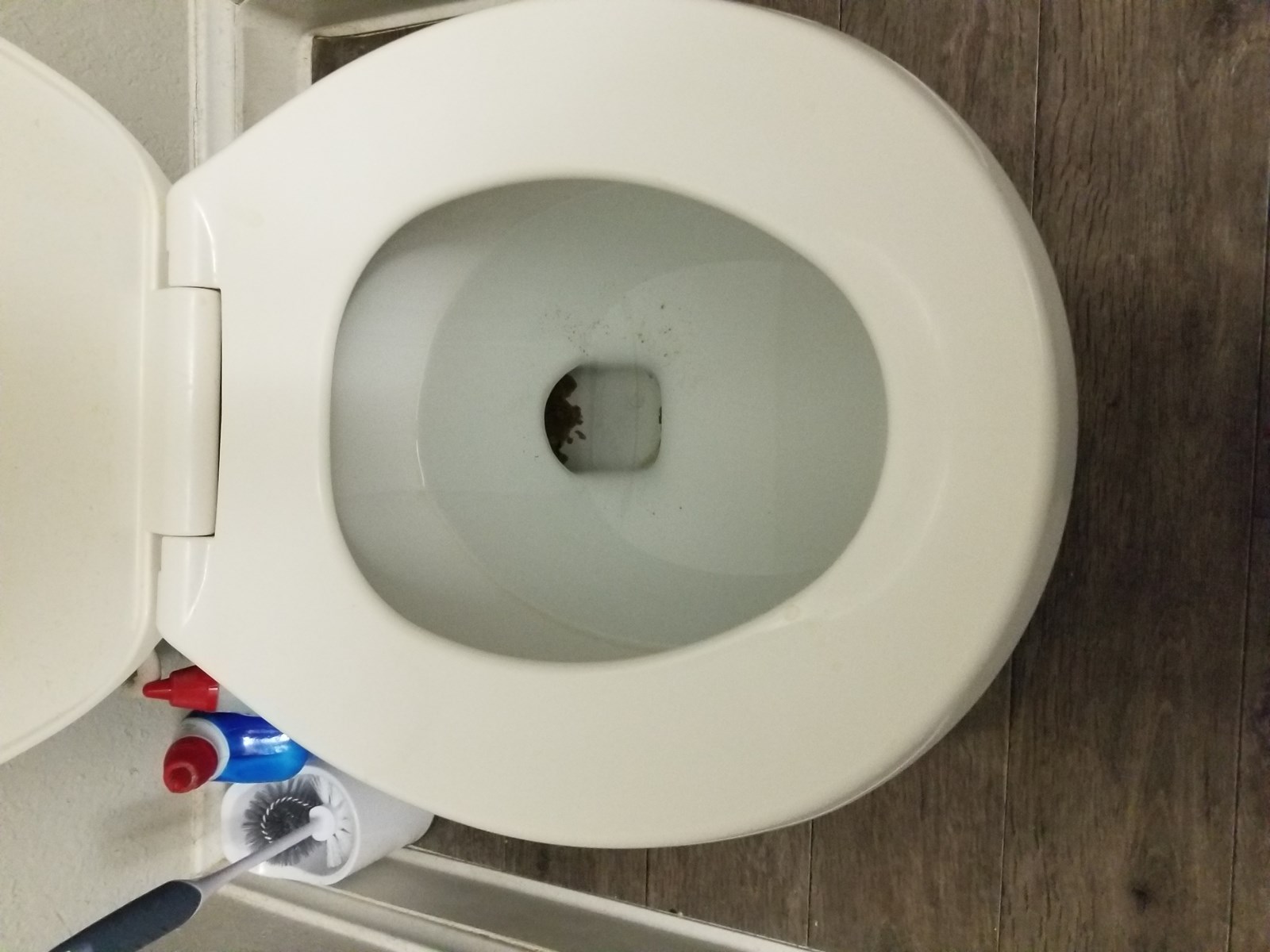 Skibidi Toilet Quiz Who Are Youuuuu