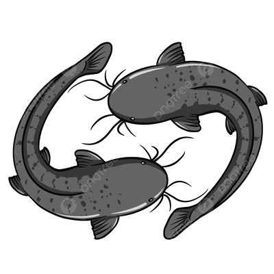 Siapa Kah Kamu Jika Menjadi Ikan