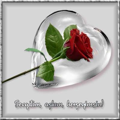 Sewglını Ne Kdr Cok Sewıosun?