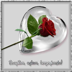 Sewglını Ne Kdr Cok Sewıosun?