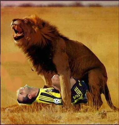 Fark Var