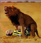 Fark Var