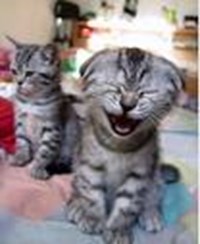 How Funny Are You Today