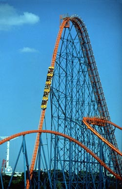 What Theme Park Are You?