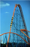 What Theme Park Are You?