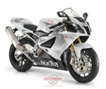 Qu'elle Moto Te Correspond Le Plus