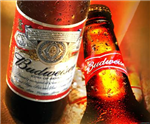 Your Fav Beer