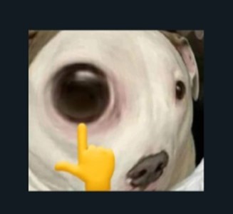 ¿Eres Bot?
