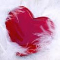 Innamorato O Solitaro