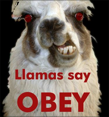 How Llama Are You?
