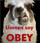 How Llama Are You?