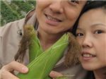 我最愛的反斗奇兵角色