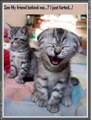 Which Laugh Are You?