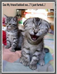 Which Laugh Are You?