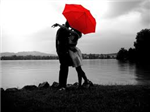 How Much Does He/She Love You Today?