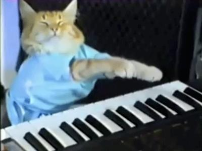 Keyboard Cat Massage