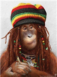 (R O R) Rasta O Rap?