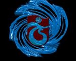 Hangi Takımı Tutuyorsun