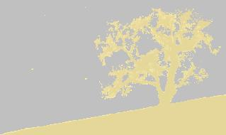 Nanangscript