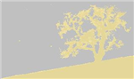 Nanangscript