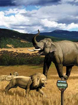 Which African Mammal Are You?
