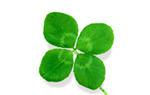 Chance Ou Malchance ?
